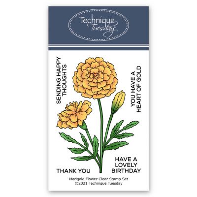 Marigold Blossom Meadow Flower Hand Draw Vintage Style Stock Illustration -  Download Image Now - iStock